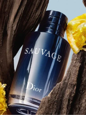 dior2